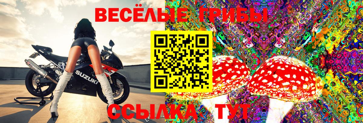 продажа наркотиков  Вход с VPN  Усть-Джегута  Галлюциногенные грибы мицелий 